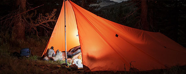 Tarp